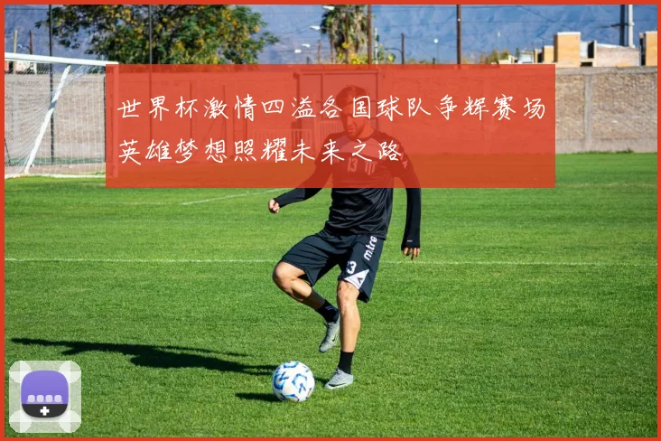 世界杯激情四溢各国球队争辉赛场英雄梦想照耀未来之路