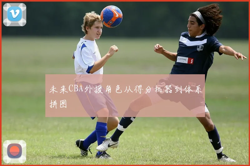 未来CBA外援角色从得分机器到体系拼图