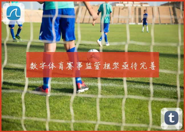 数字体育赛事监管框架亟待完善
